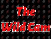 TheWildCam